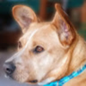 Meet your Posher, Glenn